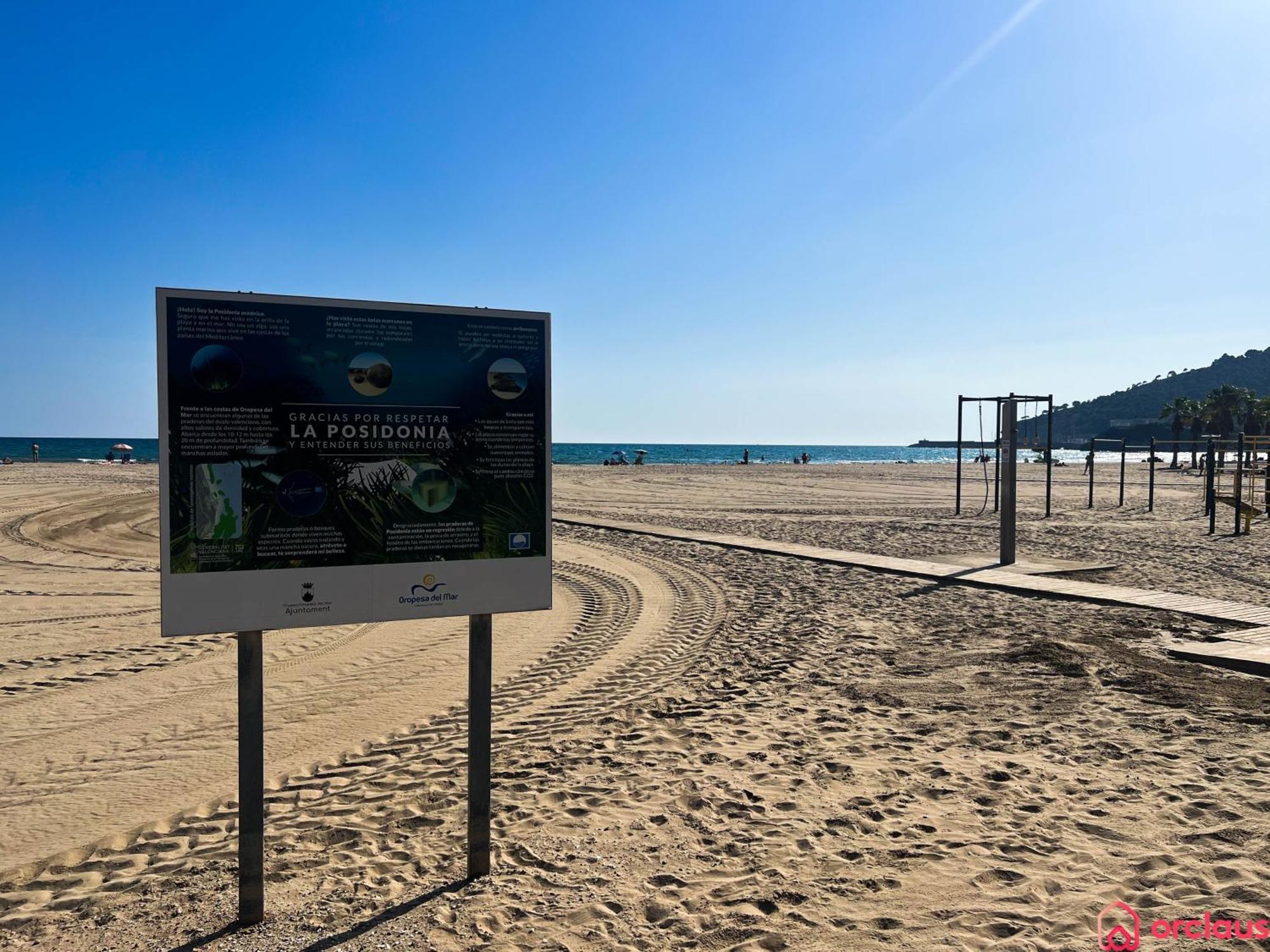 El Paraiso En Playa Concha Oropesa del Mar Exterior foto